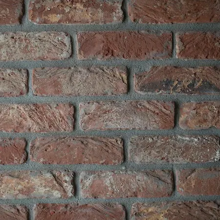 Barbero منزل ريفي Mango